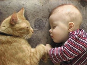 gatto-bambino-dormono