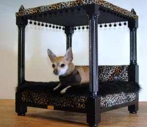 rocky (1)
