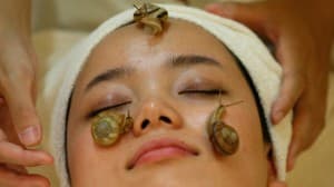 Snail facial