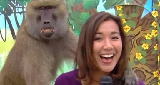 Babbuino palpa giornalista in diretta tv… E se la ride!! (VIDEO)