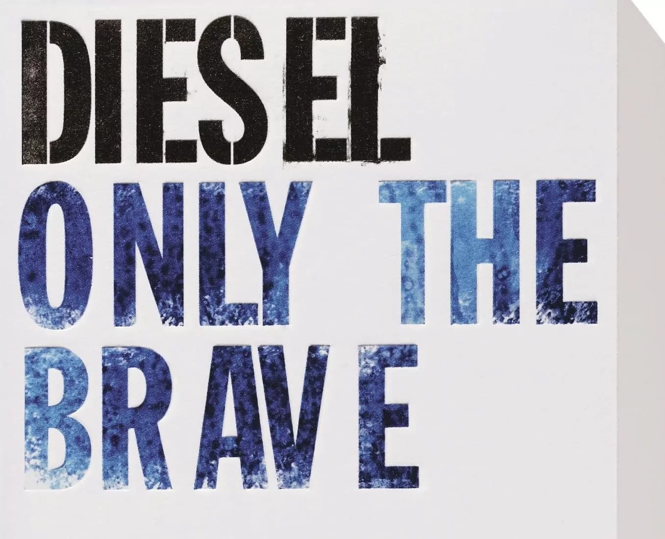 Per i suoi 35 anni Diesel investe 555 mila euro in sostenibilità regalandoli a Only The Brave Foundation