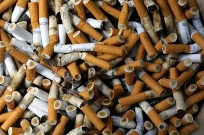 Tutta la verità sulle sigarette!! Ecco l’esperimento che dimostra quanto fanno male (VIDEO)