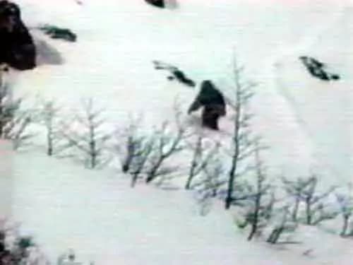 Svelato il grande mistero dello Yeti, è solo un orso. Messner: “Ve lo dico da decenni”