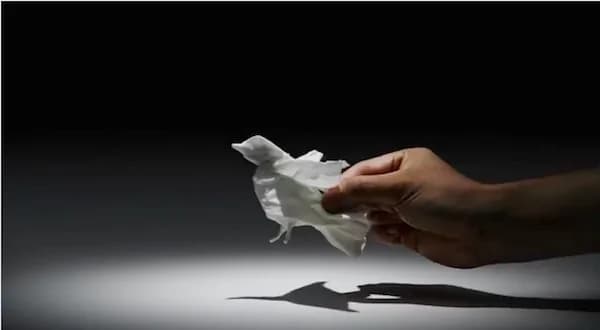 Animaletti realizzati coi fazzolettini di carta prendono vita [VIDEO]