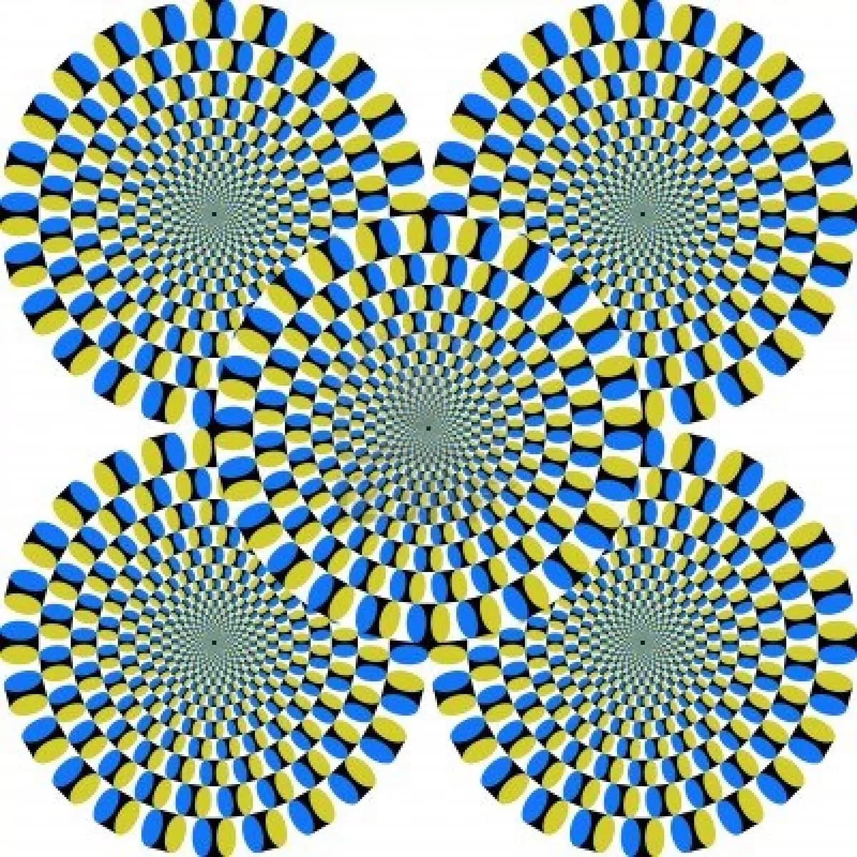 Le simpaticissime “illusioni ottiche” [FOTO]