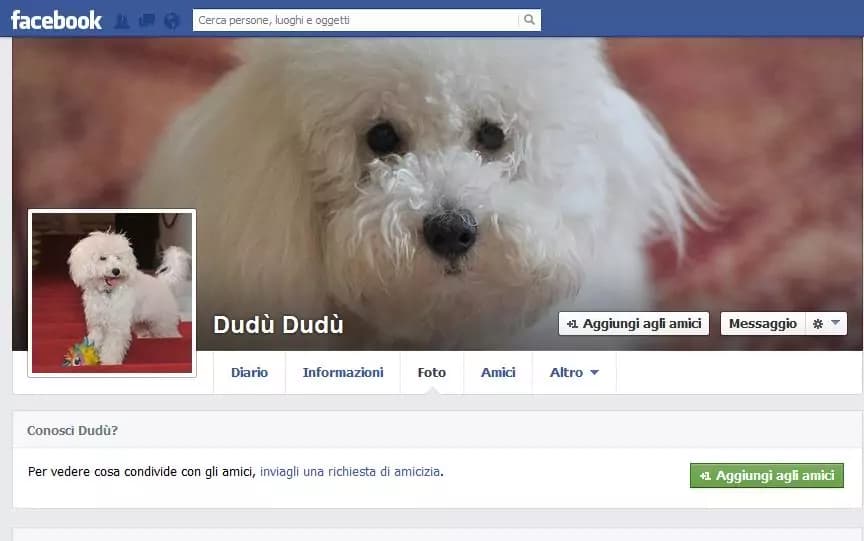 Dudù il cane di Francesca Pascale è su Facebook