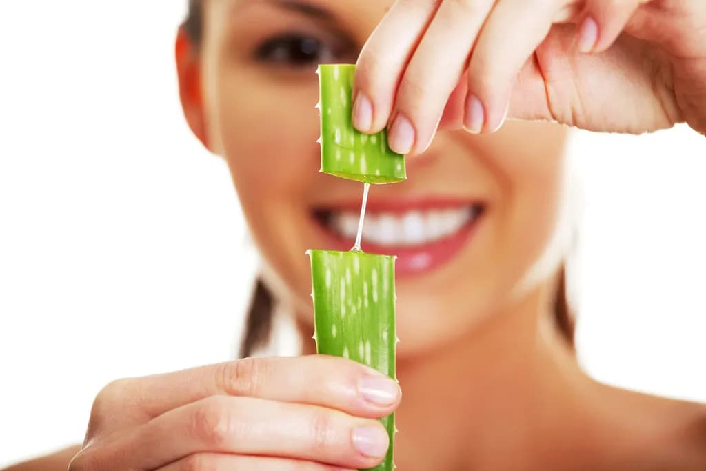 Aloe vera: una pianta antichissima dalle infinite proprietà cosmetiche e terapeutiche