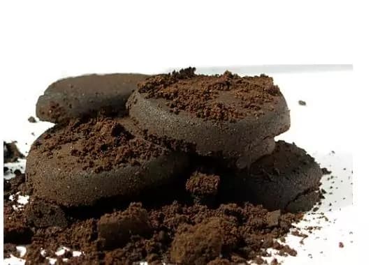 Fondi di caffè: i preziosi alleati “riciclati” della nostra bellezza quotidiana