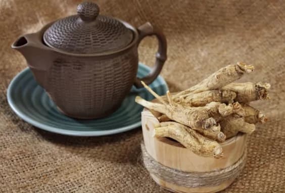 Ginseng: pianta erbacea millenaria ed efficace rimedio naturale per tutti i mali