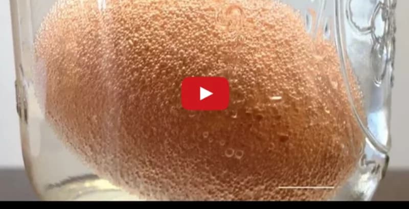 Ecco come l’aceto trasforma un uovo in una incredibile “pallina rimbalzina” [VIDEO]
