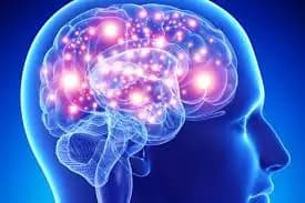 Brain training, scopri come avere un cervello al top