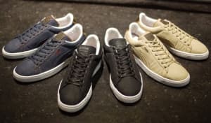 puma_states_121008-r1
