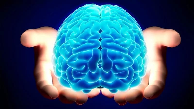 Se siamo empatici e sociali è grazie ai “neuroni specchio”
