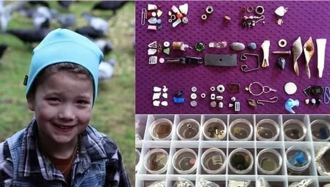 L’incredibile storia della bambina amica dei corvi