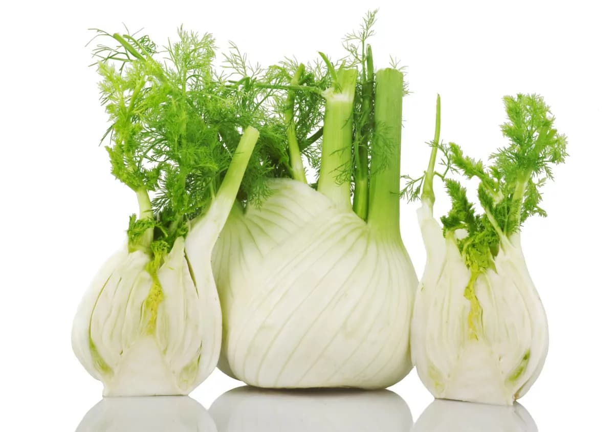 Finocchio: ecco come e quando mangiarlo per perdere i chili di troppo