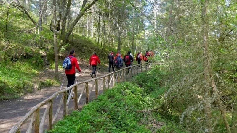 Nordic Tales fa tappa a San Lazzaro di Savena, camminata contro la sclerosi multipla
