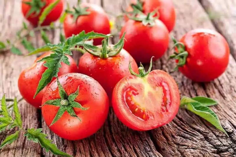 La “dieta del pomodoro” da una speranza contro il cancro allo stomaco