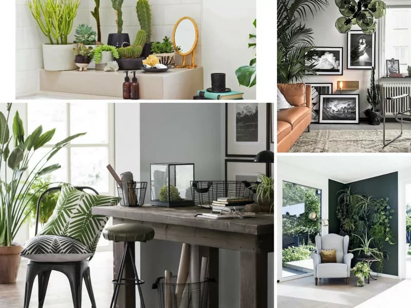 Home decore: la tendenza è verde