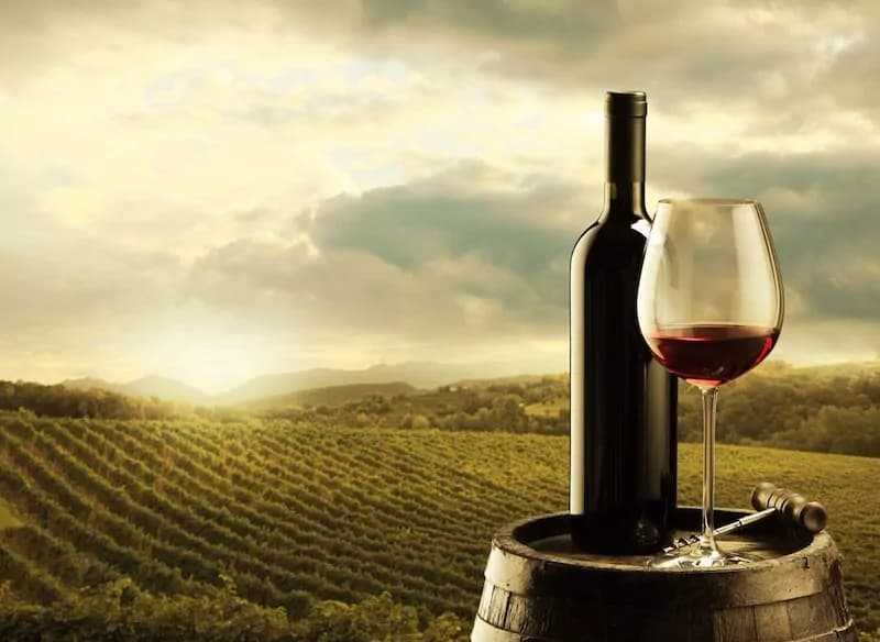 Chianti classico: l’Italia da record con +50% di vendite in 7 anni