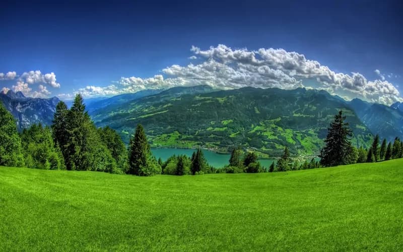 Oggi è la Giornata Mondiale dell’Ambiente