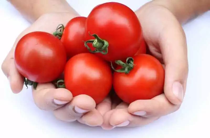 Fagioli e pomodori tipici della Toscana sono alleati anti-diabete