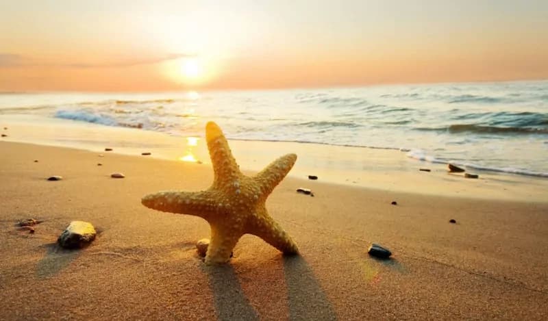 Estate: i consigli ad hoc per trovare le spiagge migliori