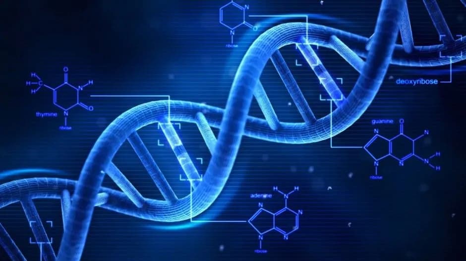 Le sei mutazioni genetiche che ampliano i nostri poteri