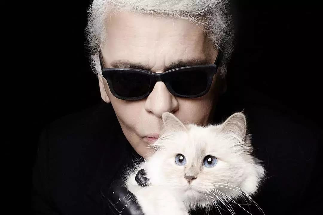 Lagerfeld dedica una capsule collection al suo gatto