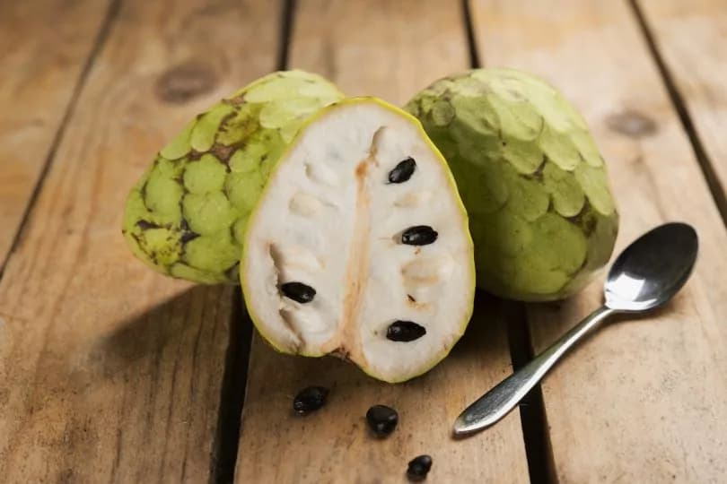 Annona: dalle proprietà anti-cancro all’aiuto contro la stitichezza è un frutto elisir di salute