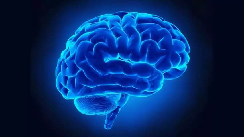 Ricerca: la gelosia non ha più segreti, mappata area nel cervello