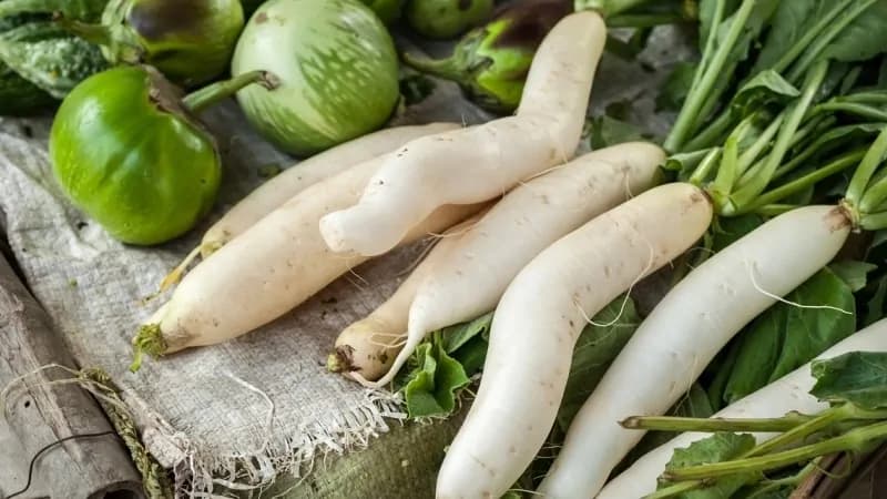 Daikon: la radice dalle grandi proprietà benefiche, la nutrizionista ci spiega come utilizzarla in cucina