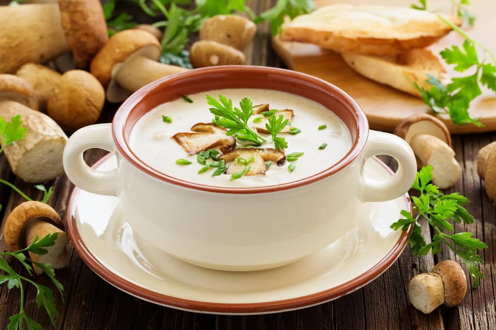 Crema di funghi: una ricetta veloce per un piatto dal sapore delicato