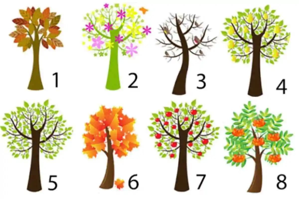 Test Psicologico gratis on line