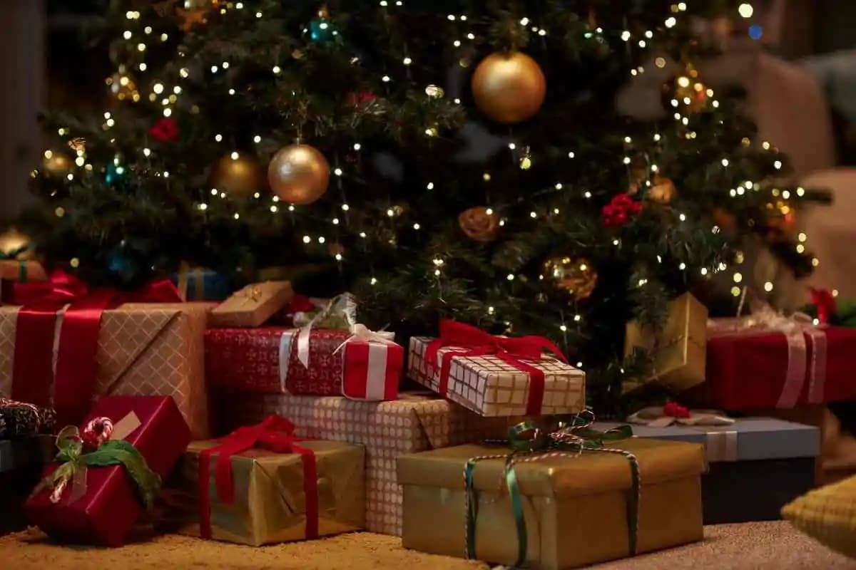 5 piante da regalare a Natale