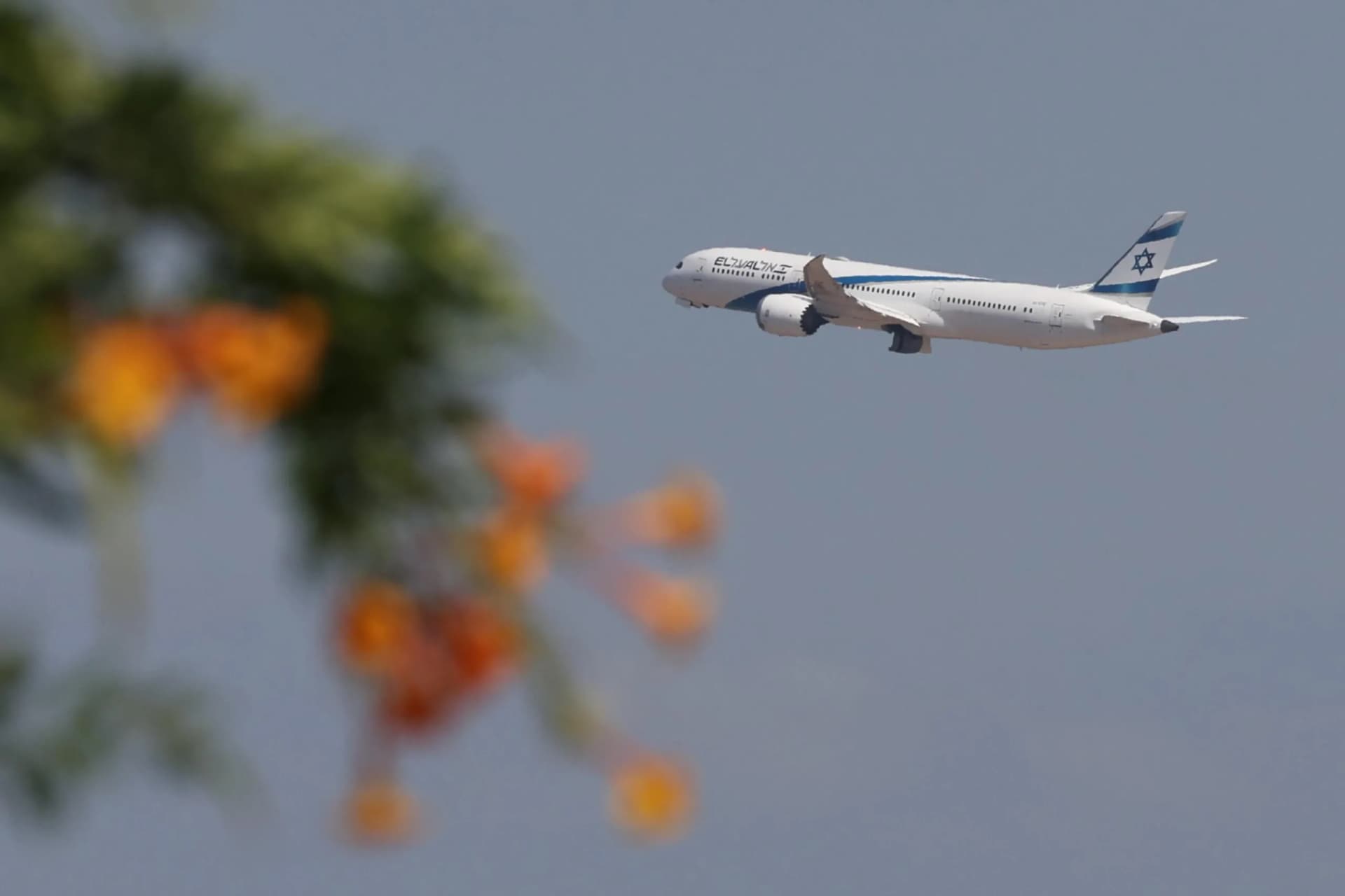Modalità aereo dimenticata: cosa succede davvero in volo