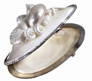 Shell-Bag-Particolare-SEMI-OPEN