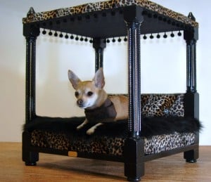 rocky (1)