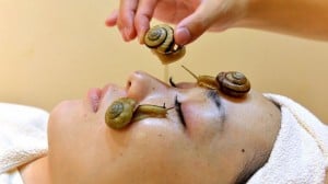 snail (1)