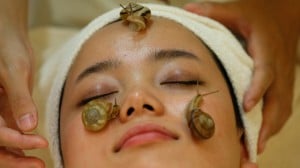 Snail facial