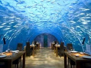 Come dine in our underwater restaurant