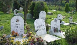 cimitero1