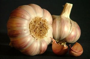AGLIO VERRUCHE