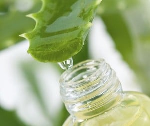 ALOE VERA VERSATA