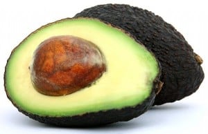 AVOCADO INVERNO