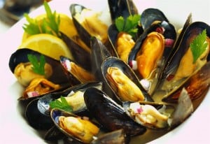 COZZE FELICITA'