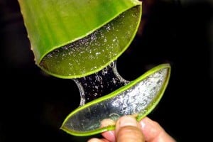 GEL SUCCO ALOE VERA
