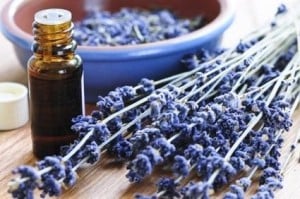 OLIO ESSENZIALE LAVANDA 1