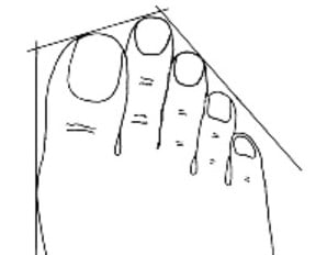 piede2