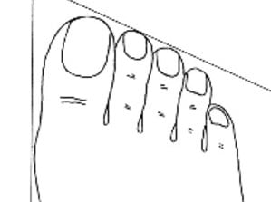 piede3