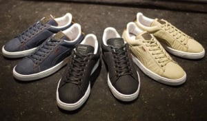 puma_states_121008-r1
